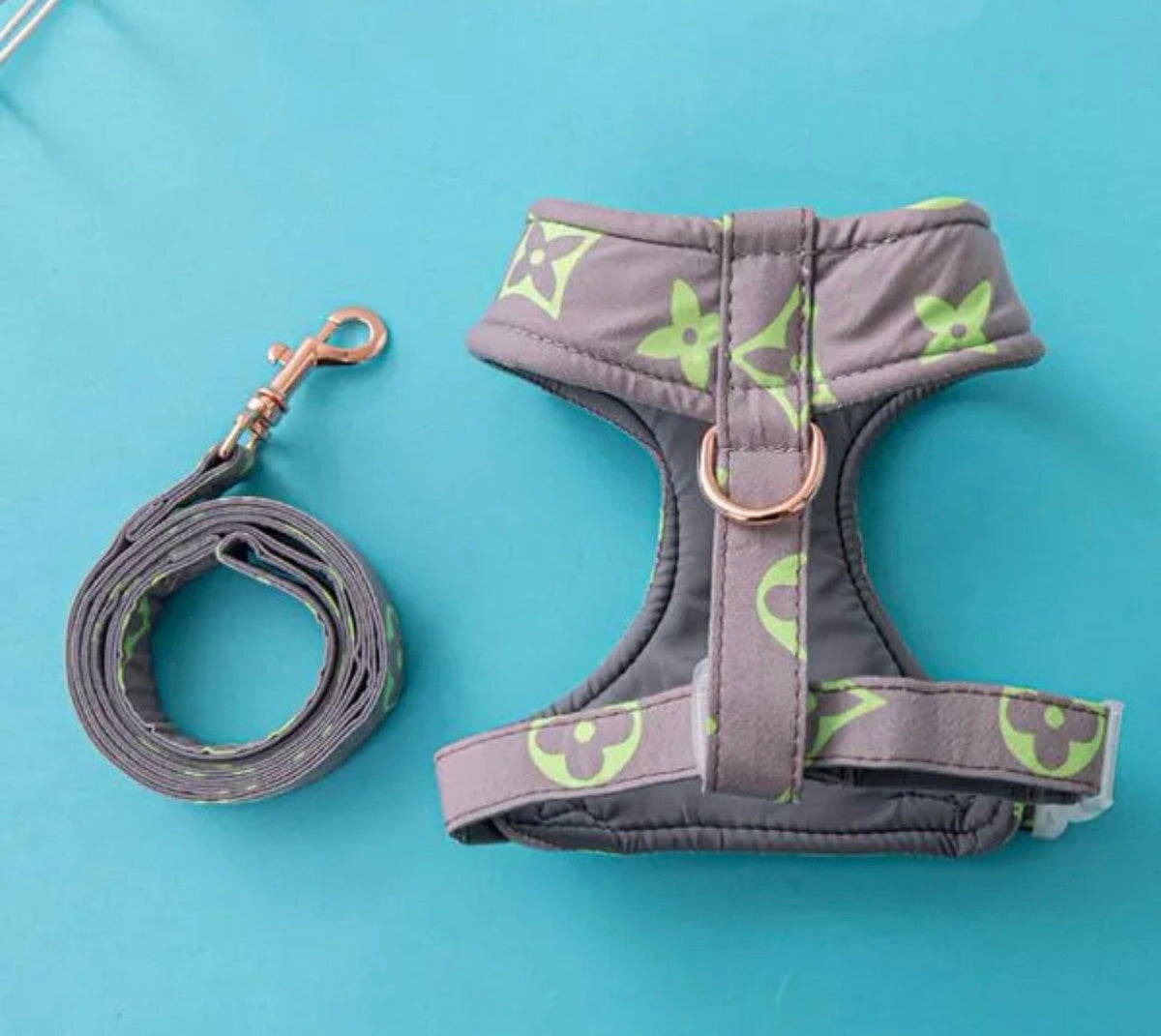 Ensemble Harnais et Laisse pour Chien Chewy Pawtton | Tenue de Promenade pour Chien