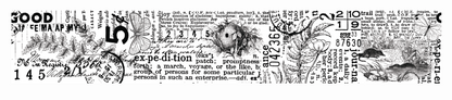 Arden Creative Studio Hidden Creek  Journal Kiss-Cut PET Tape
