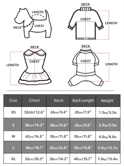 Robe pour chien « She’s a Rockstar » | Robe pour chien pour les grandes occasions
