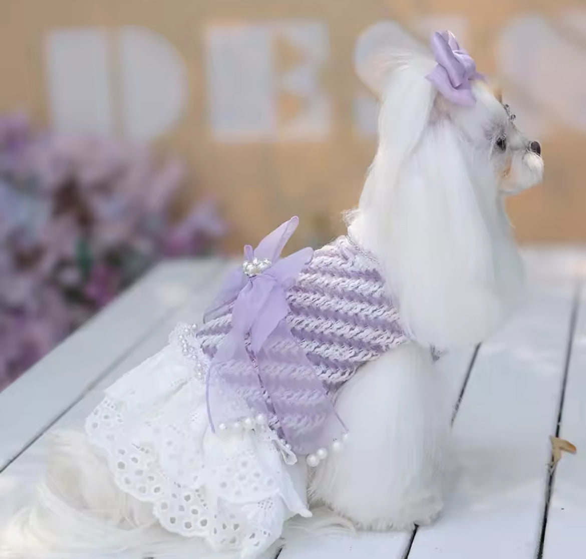 Lavender Dream Dress – Luxury Dog Dress