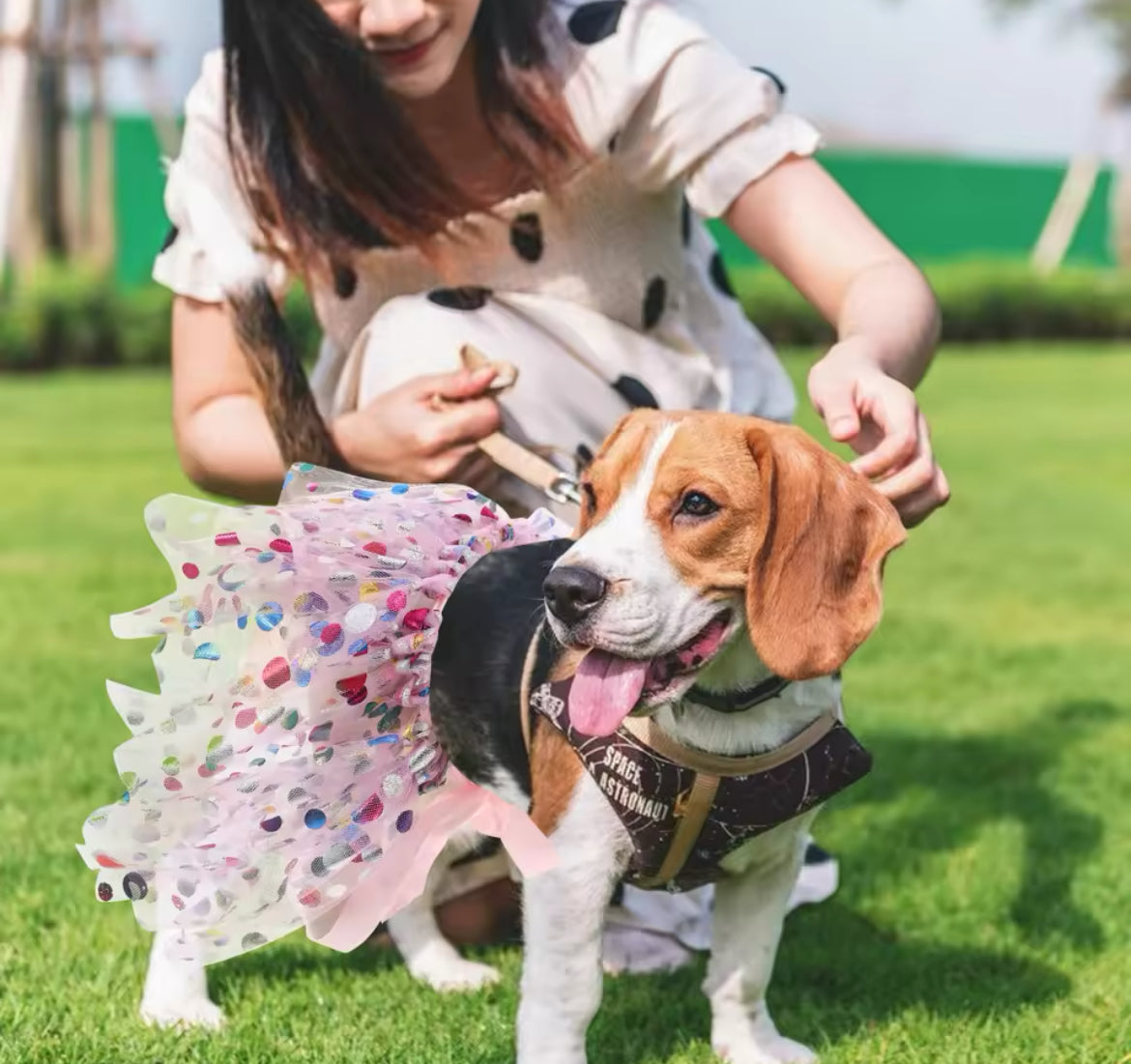 Princesse Toutou Tutu – Robe de Luxe en Tulle pour Chiens