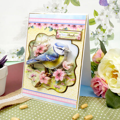 Beautiful Birds Designer Deco-Large Collection