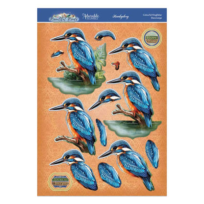 Magnifique ensemble de décoration d'oiseaux - Martin-pêcheur coloré