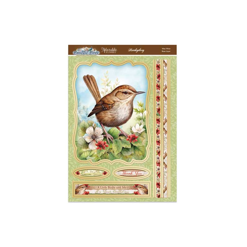 Joli Ensemble Deco-Large Oiseaux - Troglodyte Mignon