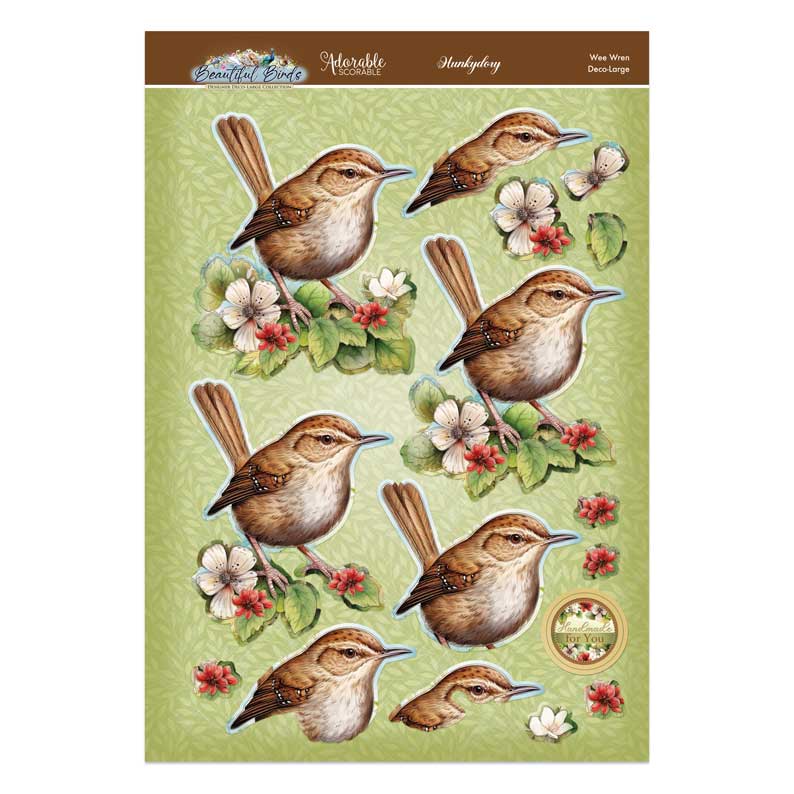Joli Ensemble Deco-Large Oiseaux - Troglodyte Mignon