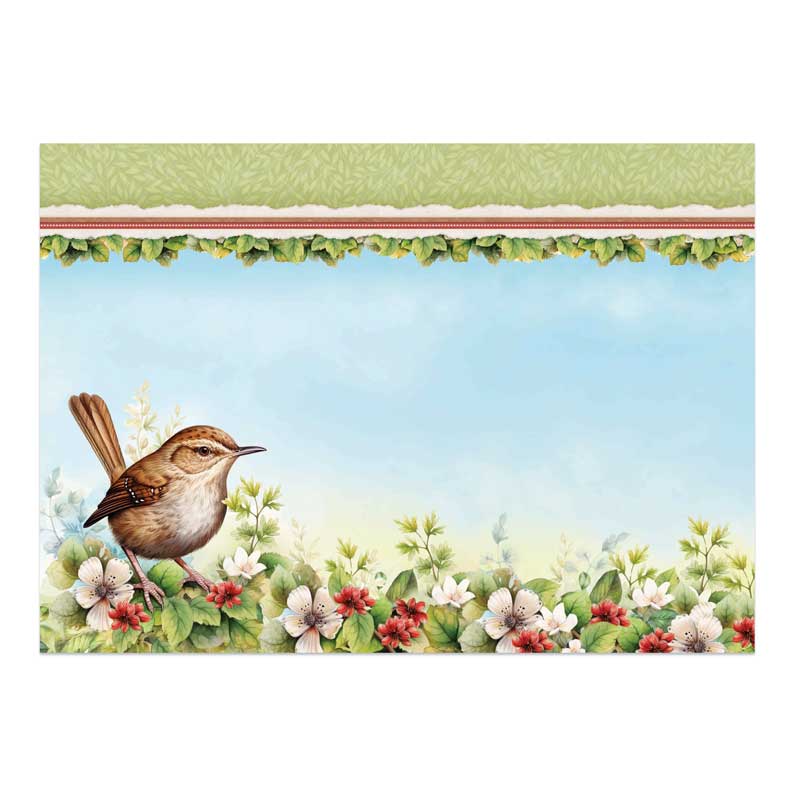 Joli Ensemble Deco-Large Oiseaux - Troglodyte Mignon