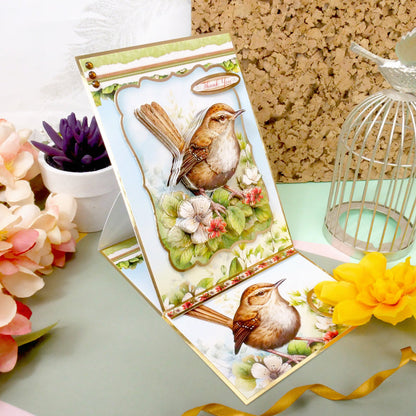 Joli Ensemble Deco-Large Oiseaux - Troglodyte Mignon