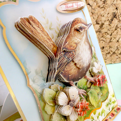 Joli Ensemble Deco-Large Oiseaux - Troglodyte Mignon