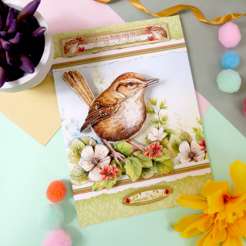 Joli Ensemble Deco-Large Oiseaux - Troglodyte Mignon