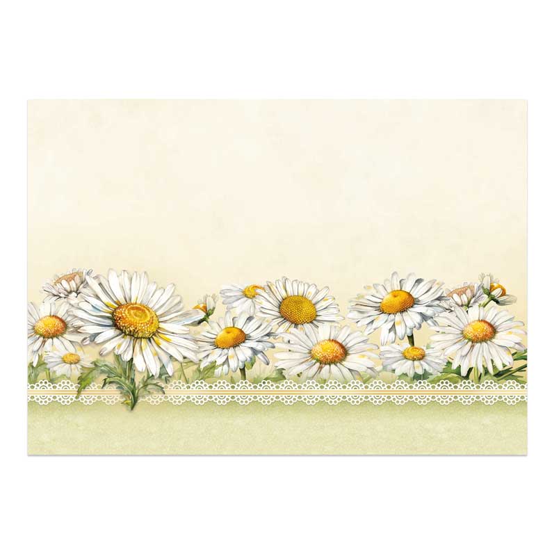 Kit de Décoration Grand Format En Pleine Floraison - Doux Comme des Marguerites