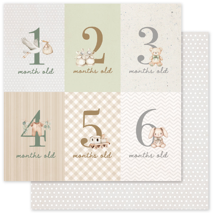 Collection de papiers Boho Baby Basics 12x12 35101