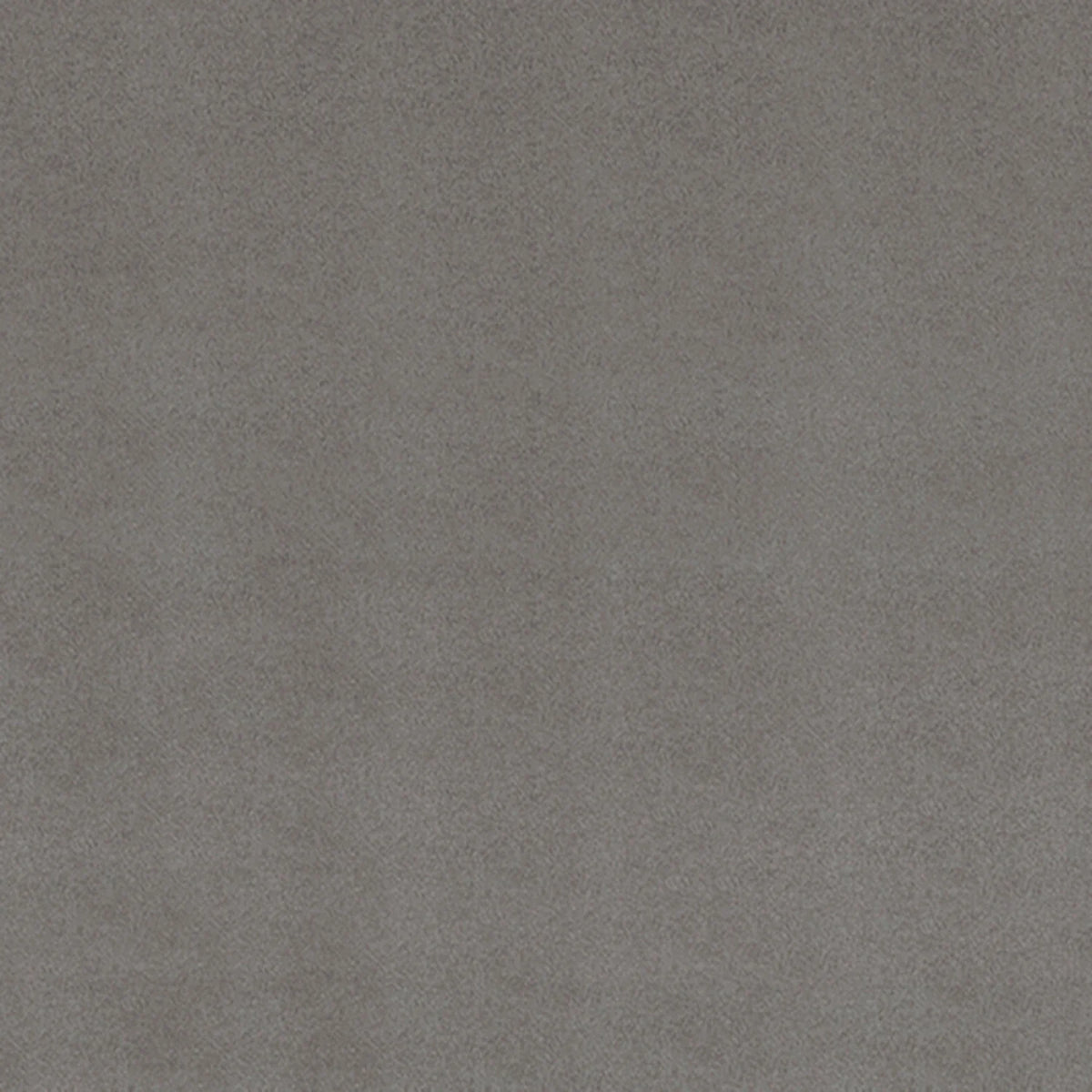 Shannon Fabrics - Cuddle - Alloy Cuddle Solid 90in Wide