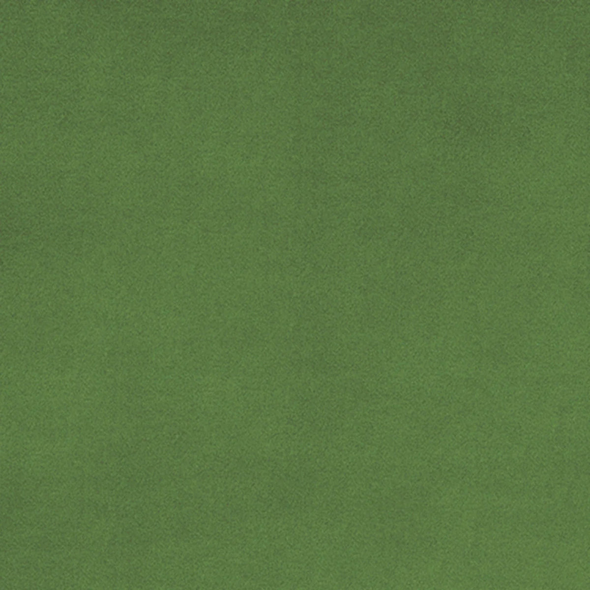 Shannon Fabrics - Cuddle - Basil uni Cuddle de 228 cm de large