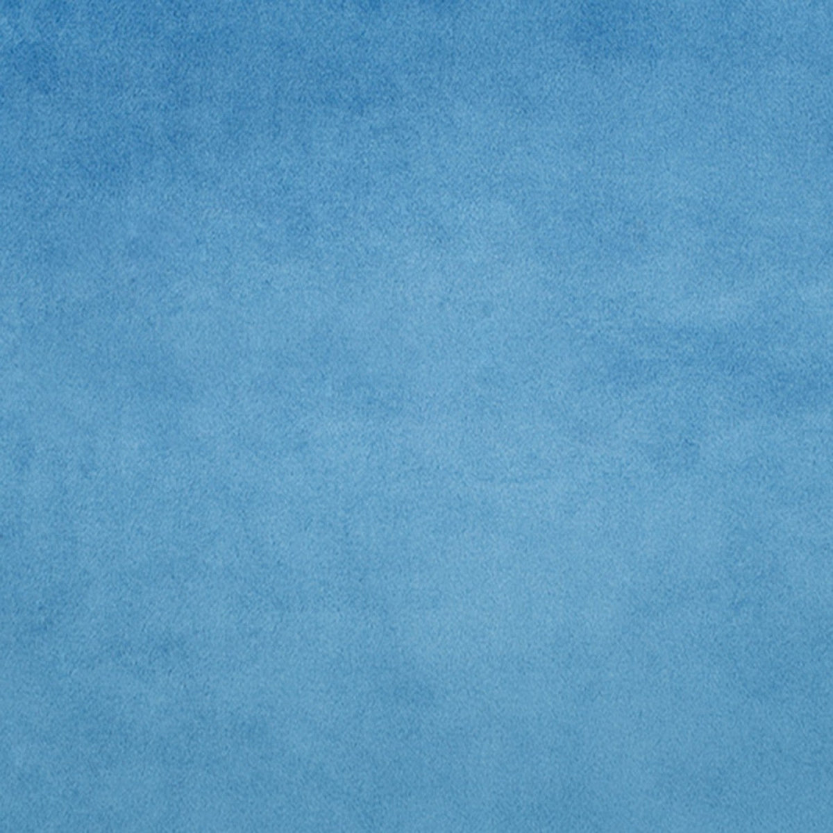 Shannon Fabrics - Cuddle - Bluebell Cuddle Solid 60in Wide