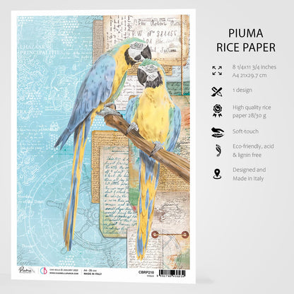 Ciao Bella Papier de Riz A4 Quartiers du Capitaine