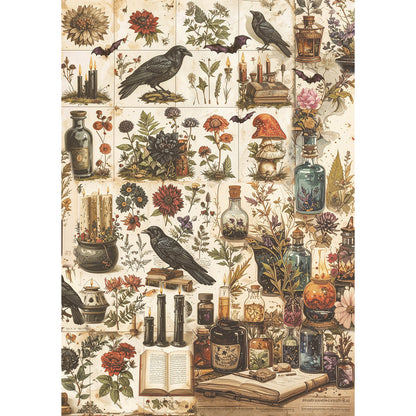 Papier de riz A5 ASSORTI 8 feuilles/paquet Dark Academia