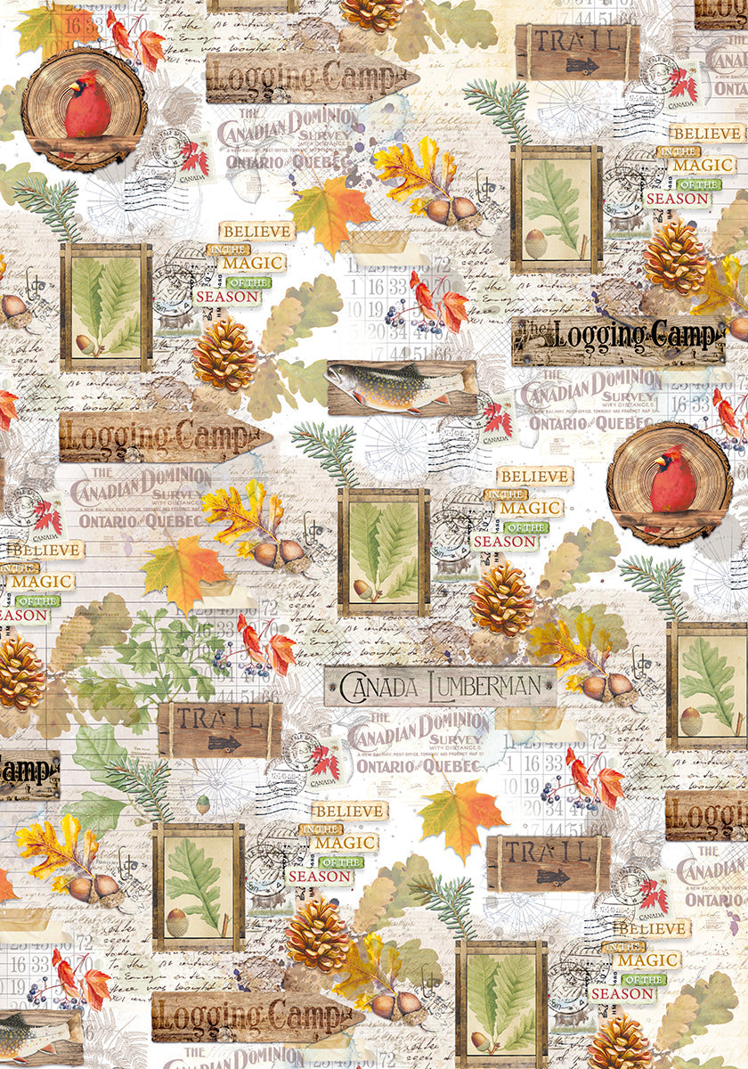 Ciao Bella Vellum Into The Wild Blocs de papiers A4 6/paquet