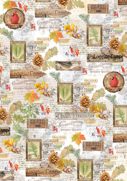 Ciao Bella Vellum Into The Wild Blocs de papiers A4 6/paquet