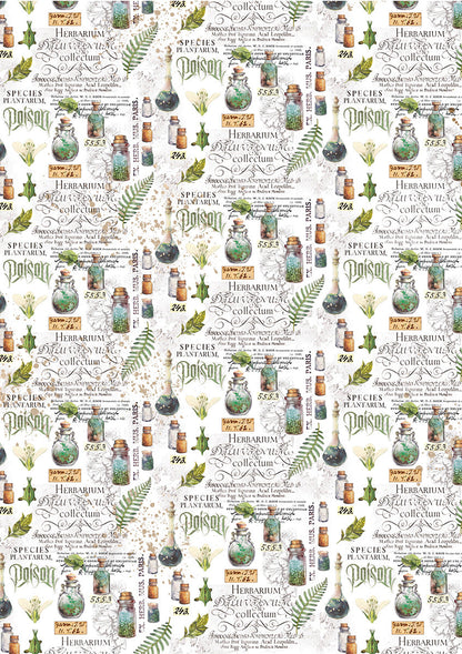 Vellum Wizard Academy Paper Patterns A4 6/Pkg