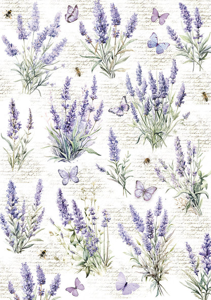 Vellum Morning In Provence Paper Patterns A4 6/Pkg