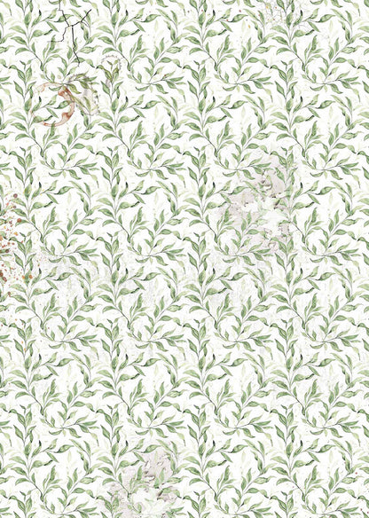 Vellum Cabinet Of Curiosities Paper Patterns A4 6/Pkg