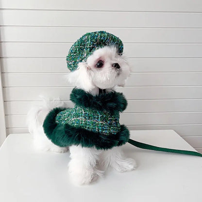 Evergreen Heritage Tweed Dog Harness Set | Harness Hat and Leash Outfit