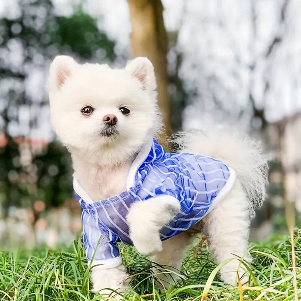 Jeremiah Dog T-Shirt | Sheer Detail Dog Shirt