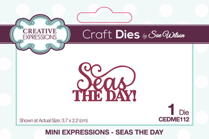 Creative Expressions Sue Wilson Mini Expressions Saisis l'occasion Matrices de découpe