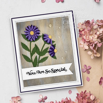 Matrice de découpe Creative Expressions Sue Wilson Collection Fleurs superposées « Coneflower »