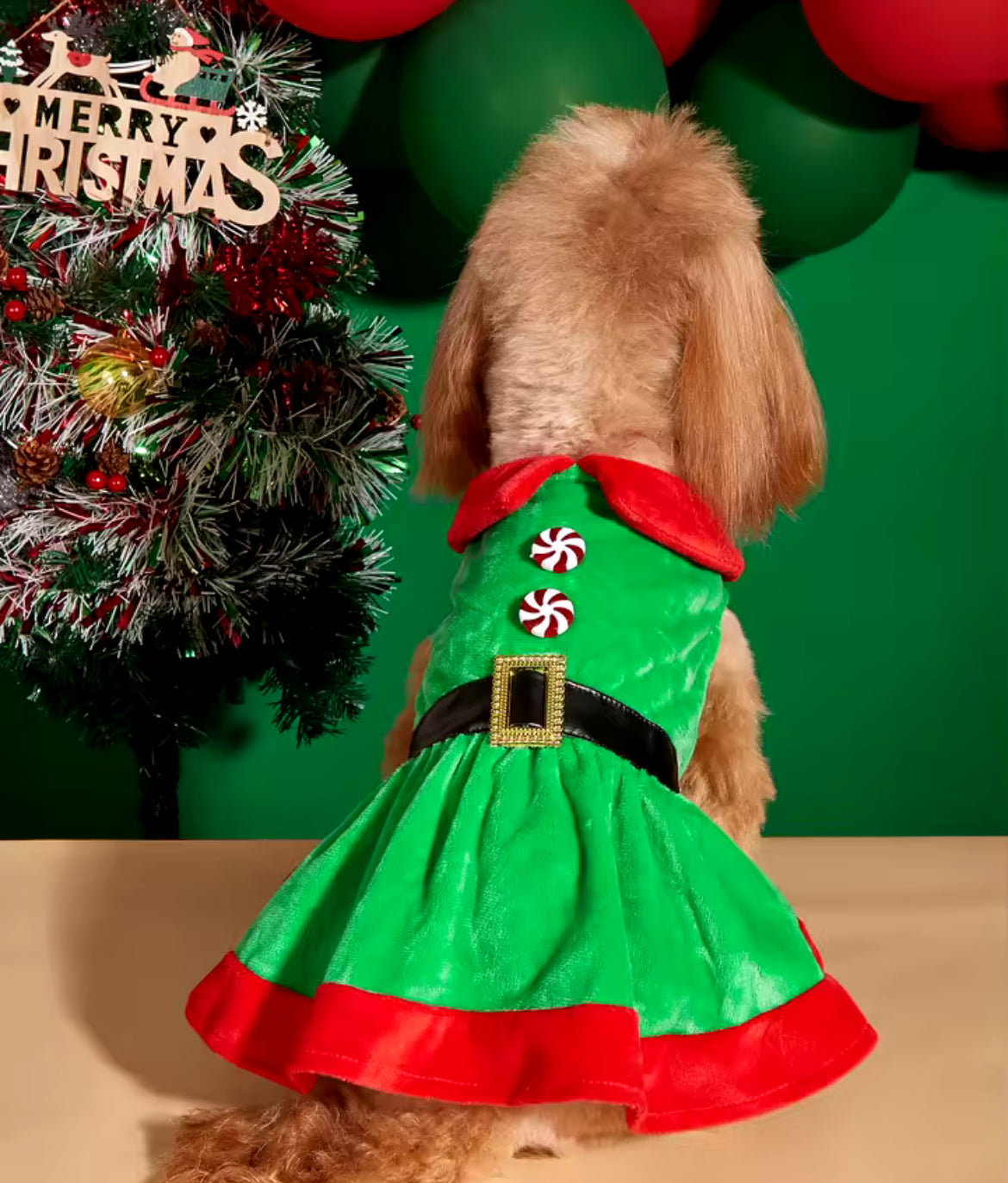 Robe de Noël pour chien – Robe de fête festive pour chiens