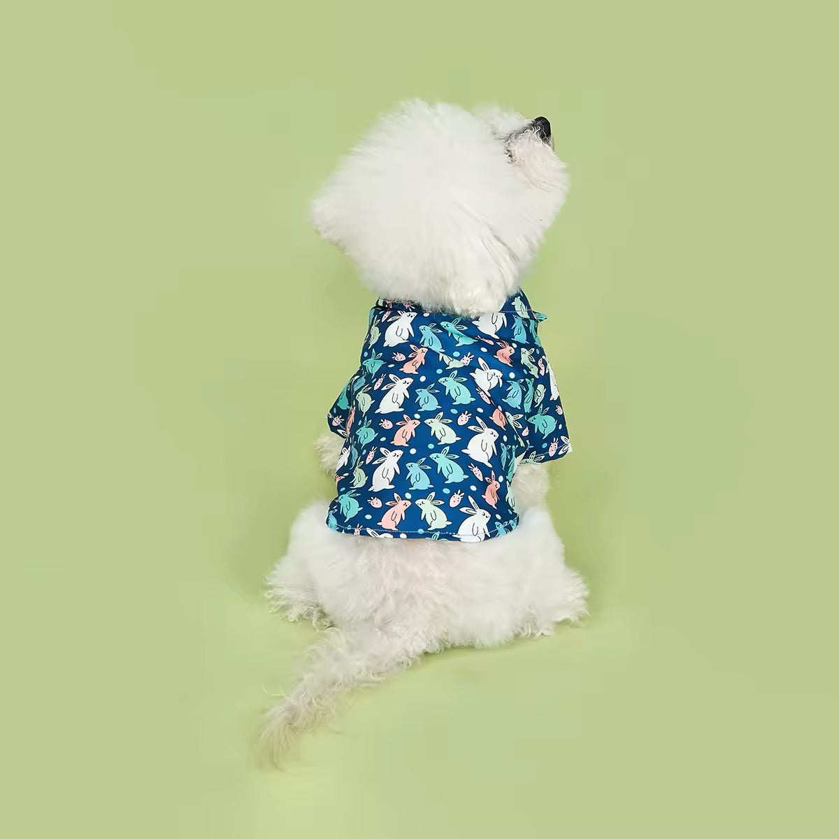 Chemise de Pâques pour chien – Chemise festive de luxe pour chien