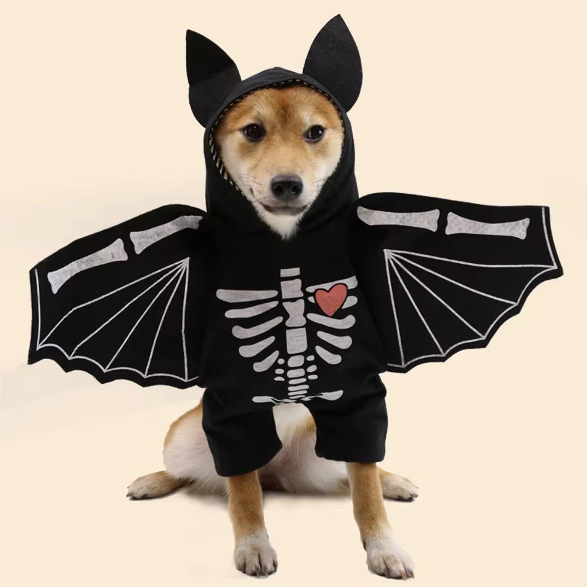 Déguisement d'Halloween Chien-Chauve-Souris | Costume pour Chien avec Chapeau