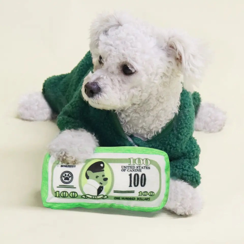 Dollar Dog Toy – Luxury Plush Money Toy for Dogs
