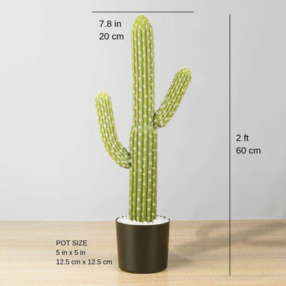 Dado Artificial Cactus Potted Plant 2'