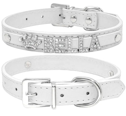 Heirloom Name Dog Collar | Customized Dog Collar