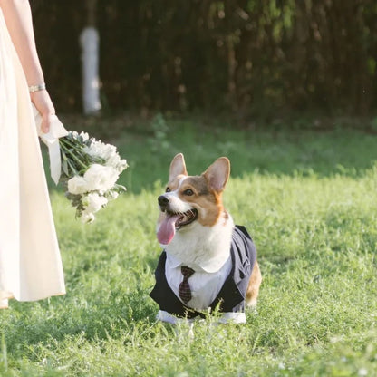 Dog Wedding Tuxedo Suit | Formal Outfit