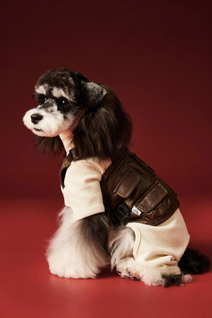 Salopette Joey pour chien | Gilet pour chien à porter au quotidien