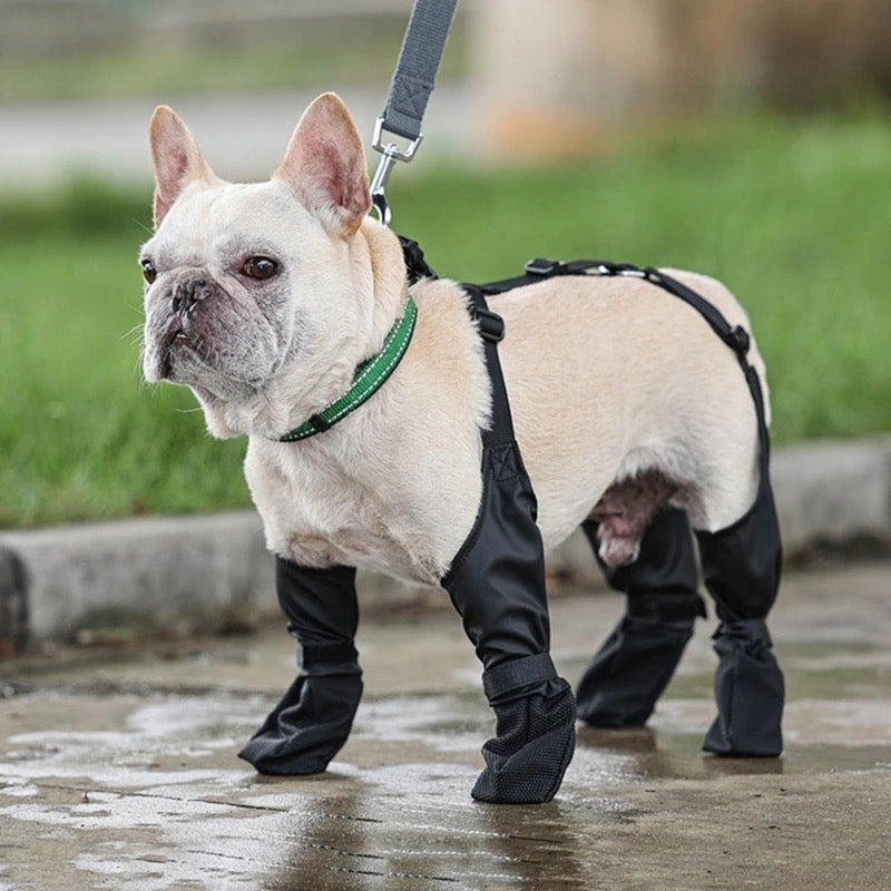 Dog Boots | Waterproof Dog Boots for Winter & Rain