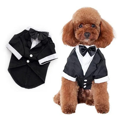 Ensemble deux pièces Midnight Regent pour chien | Tenue de soirée pour chien