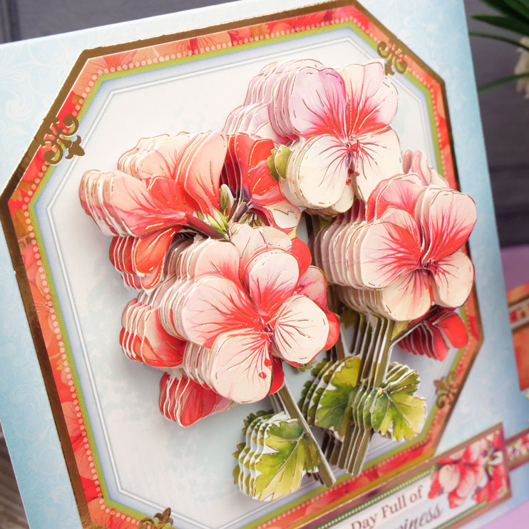 En Pleine Floraison - Kit de Décoration Grand Format Délices Floraux - Géraniums Rêveurs