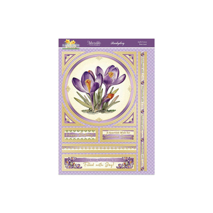 En pleine floraison - Set Deco-Large Douceurs Florales - Crocus Joyeux