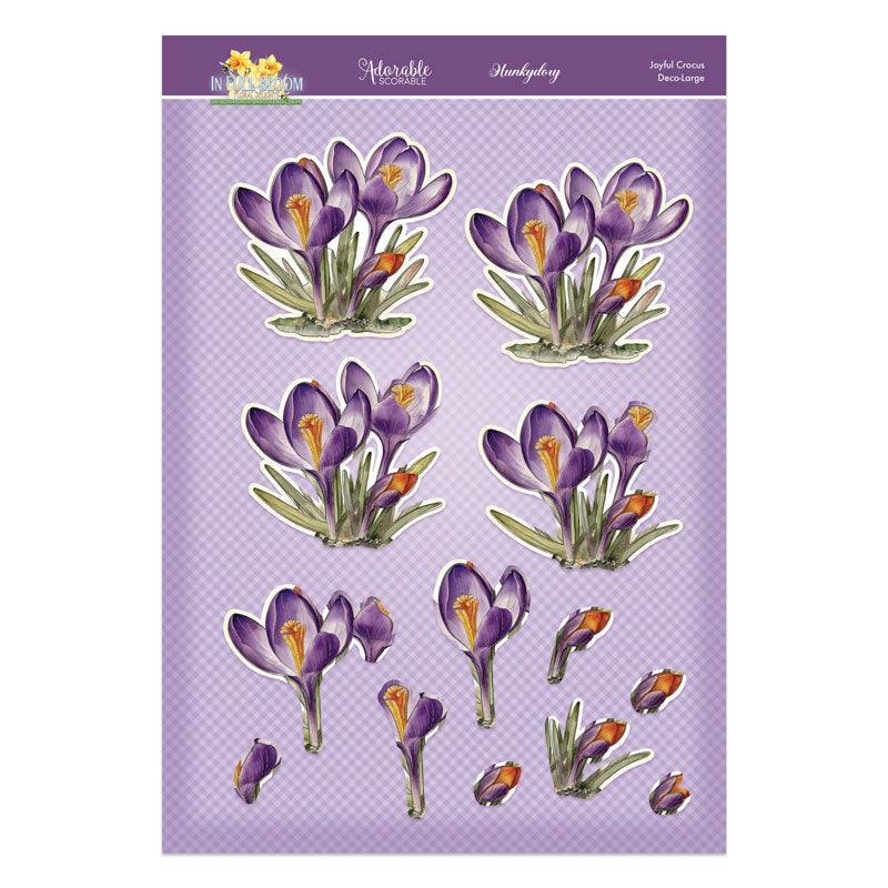 En pleine floraison - Set Deco-Large Douceurs Florales - Crocus Joyeux