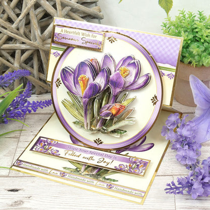 En pleine floraison - Set Deco-Large Douceurs Florales - Crocus Joyeux