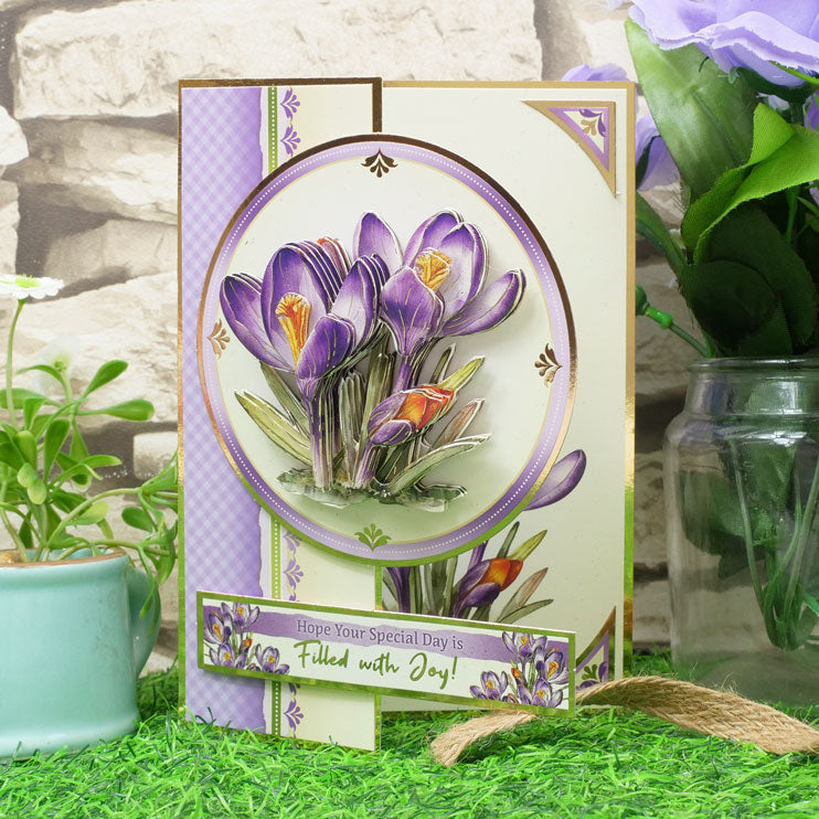 En pleine floraison - Set Deco-Large Douceurs Florales - Crocus Joyeux