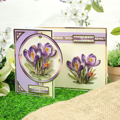 En pleine floraison - Set Deco-Large Douceurs Florales - Crocus Joyeux
