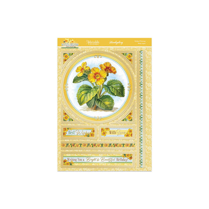 En pleine floraison - Set de décoration florale Deco-Large - Primevère Parfaite