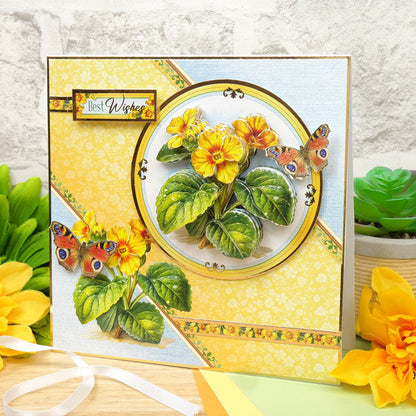 En pleine floraison - Set de décoration florale Deco-Large - Primevère Parfaite