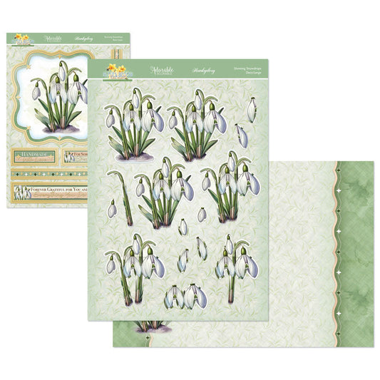 En Pleine Fleur – Set Déco-Large Douceurs Florales – Magnifiques Perce-neige