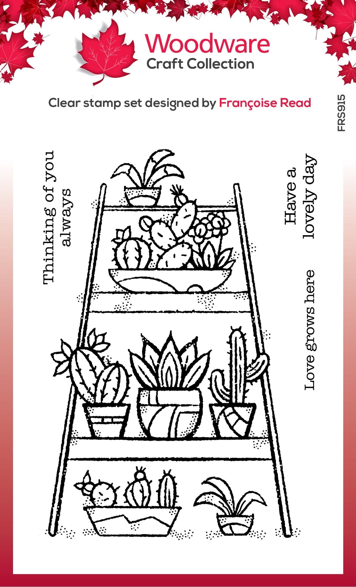 Tampon en bois transparent pour jardin intérieur 10 cm x 15 cm