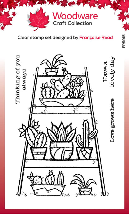 Tampon en bois transparent pour jardin intérieur 10 cm x 15 cm